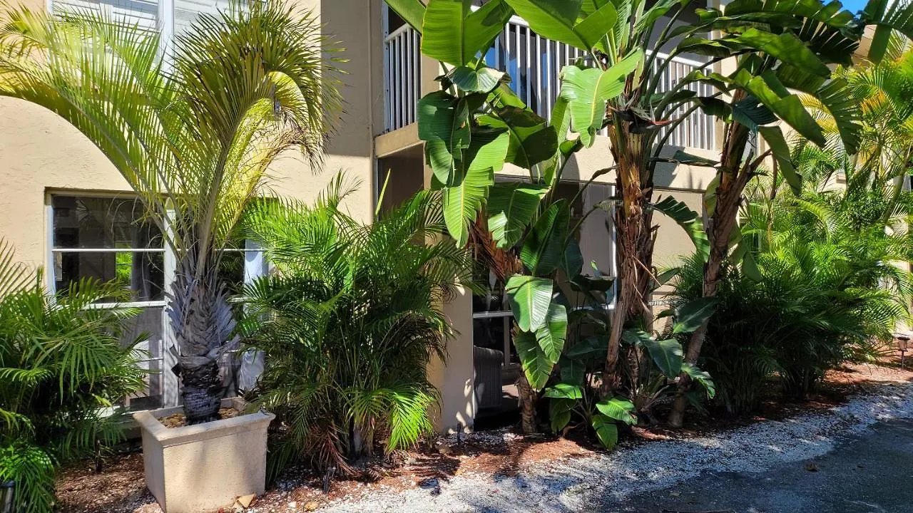 Front Paradise. Ground Floor.studio. Longboat Key
