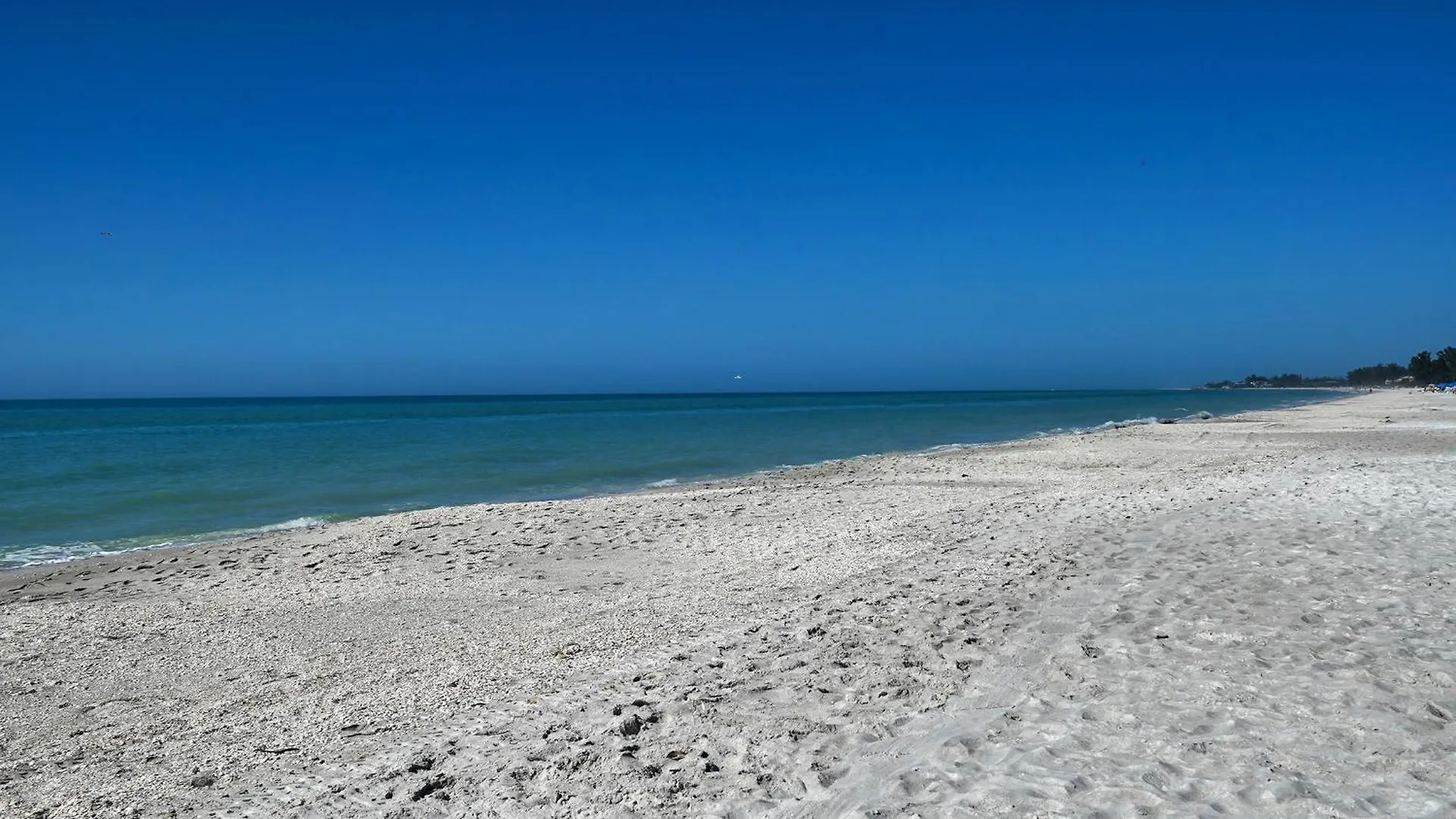 Apartment White Sands Of Longboat Longboat Key