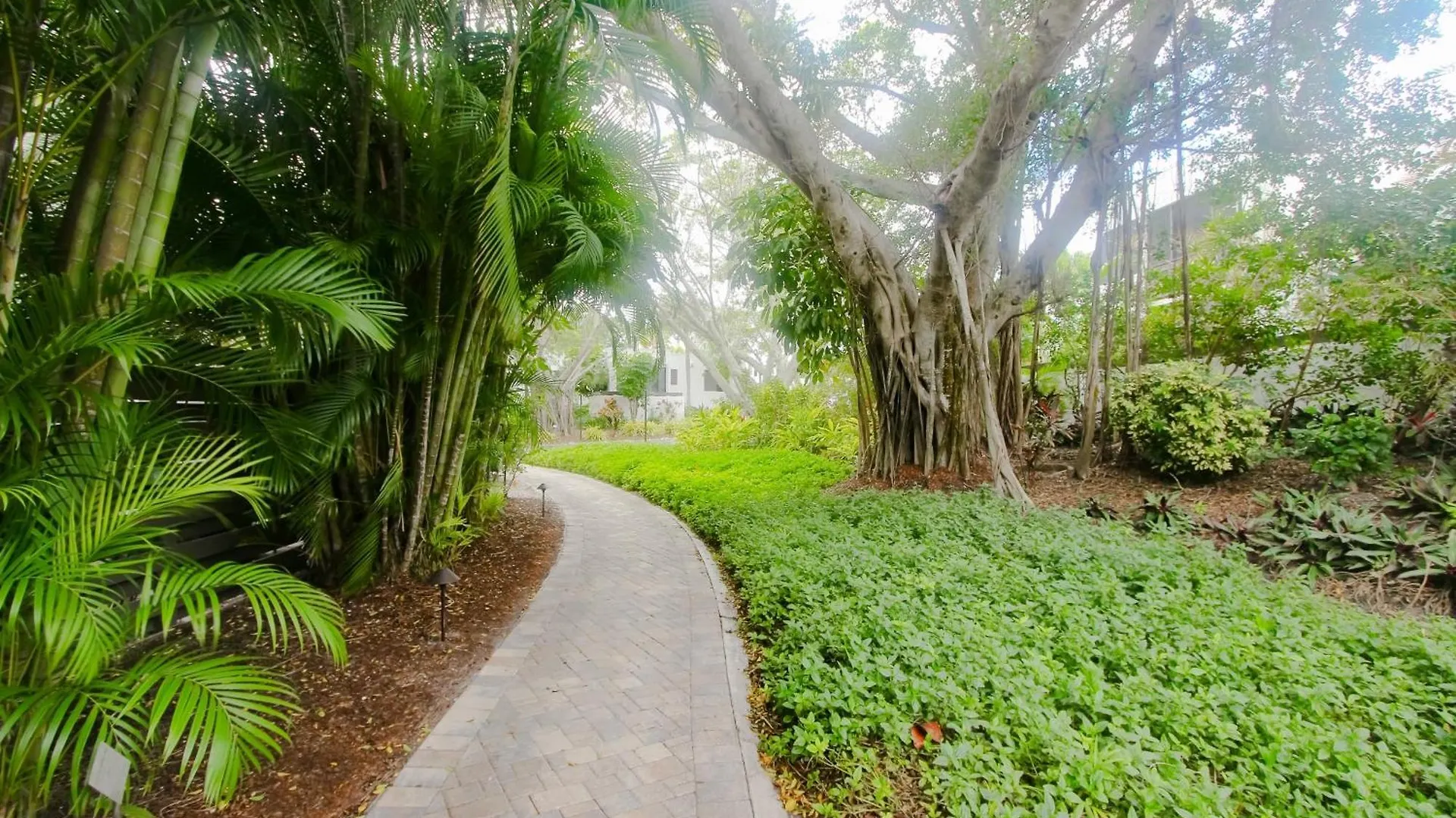 Apartment Island Breeze Sanctuary