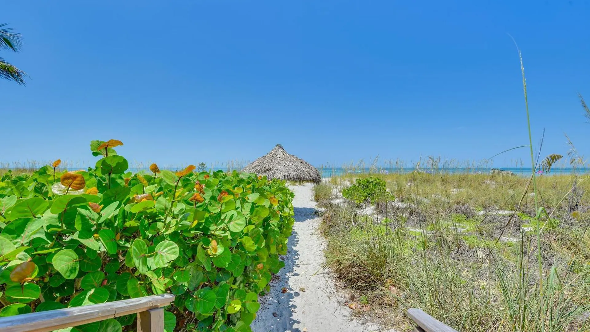 Gulf Getaway With Porch And Direct Access! Apartment