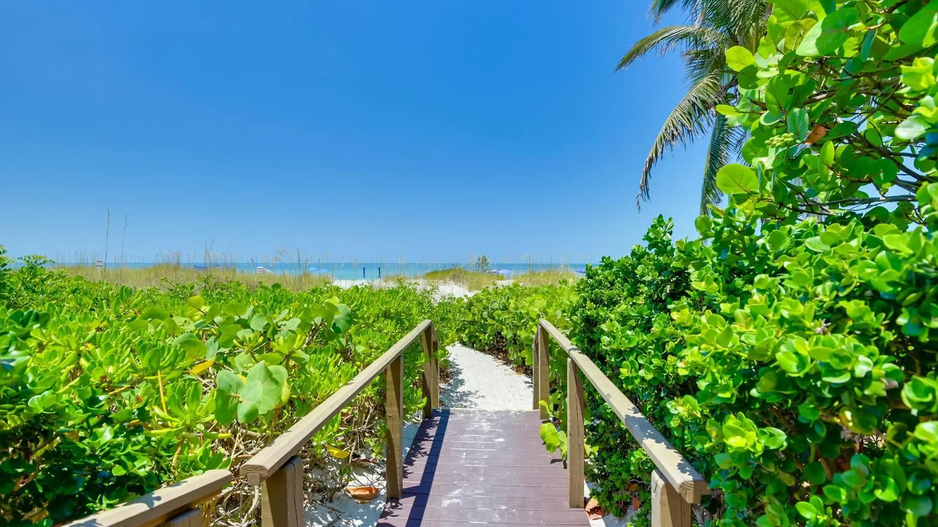 Sunlit Escape With Private Apartment Longboat Key