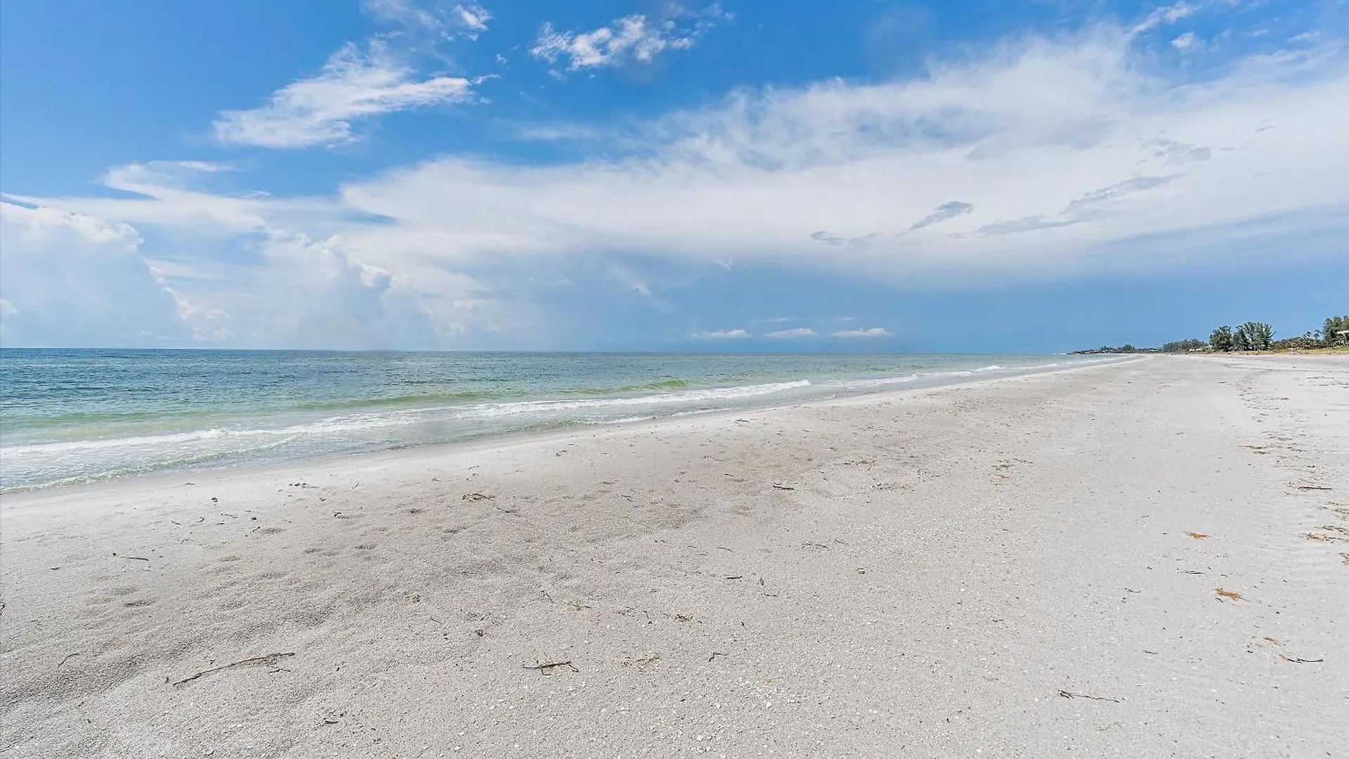 It's A Shore Thing * Longboat Key