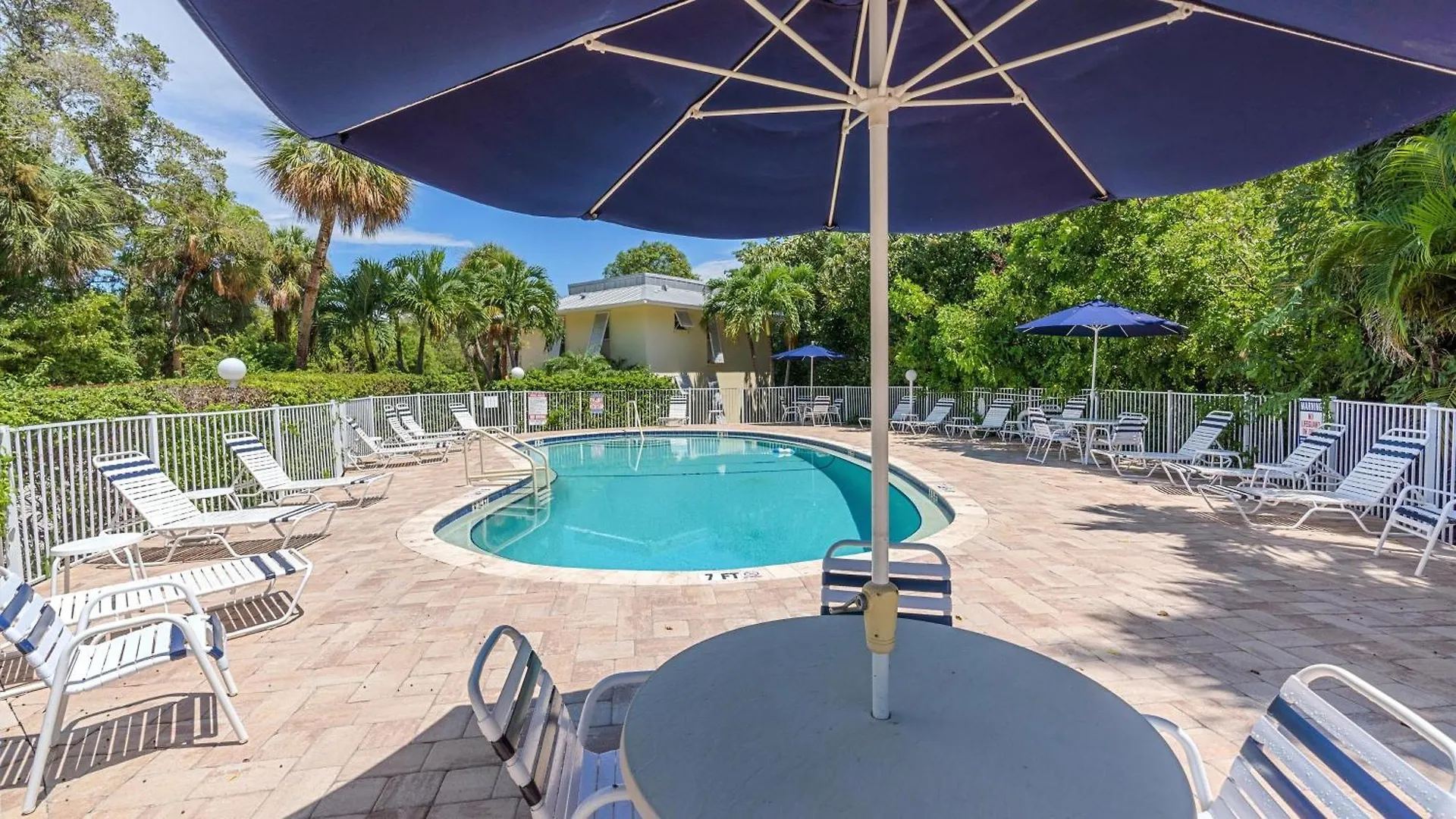 It's A Shore Thing Longboat Key