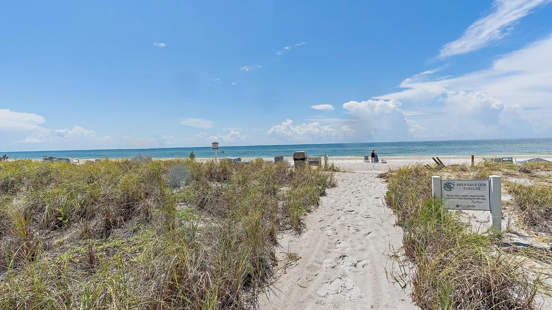 It's A Shore Thing * Longboat Key
