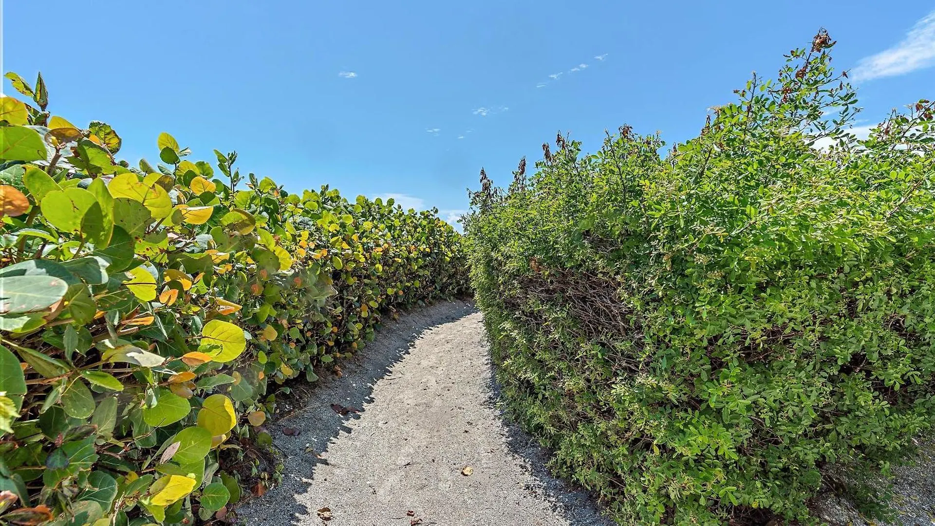 Pura Vida Two Holiday home Longboat Key
