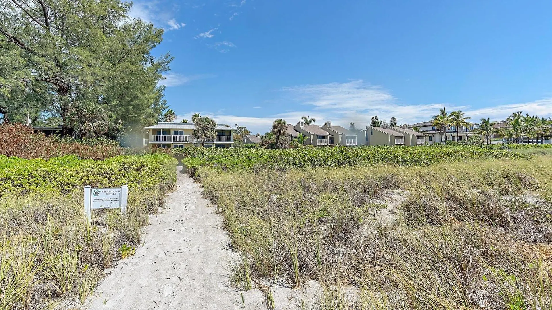 Pura Vida Two Longboat Key