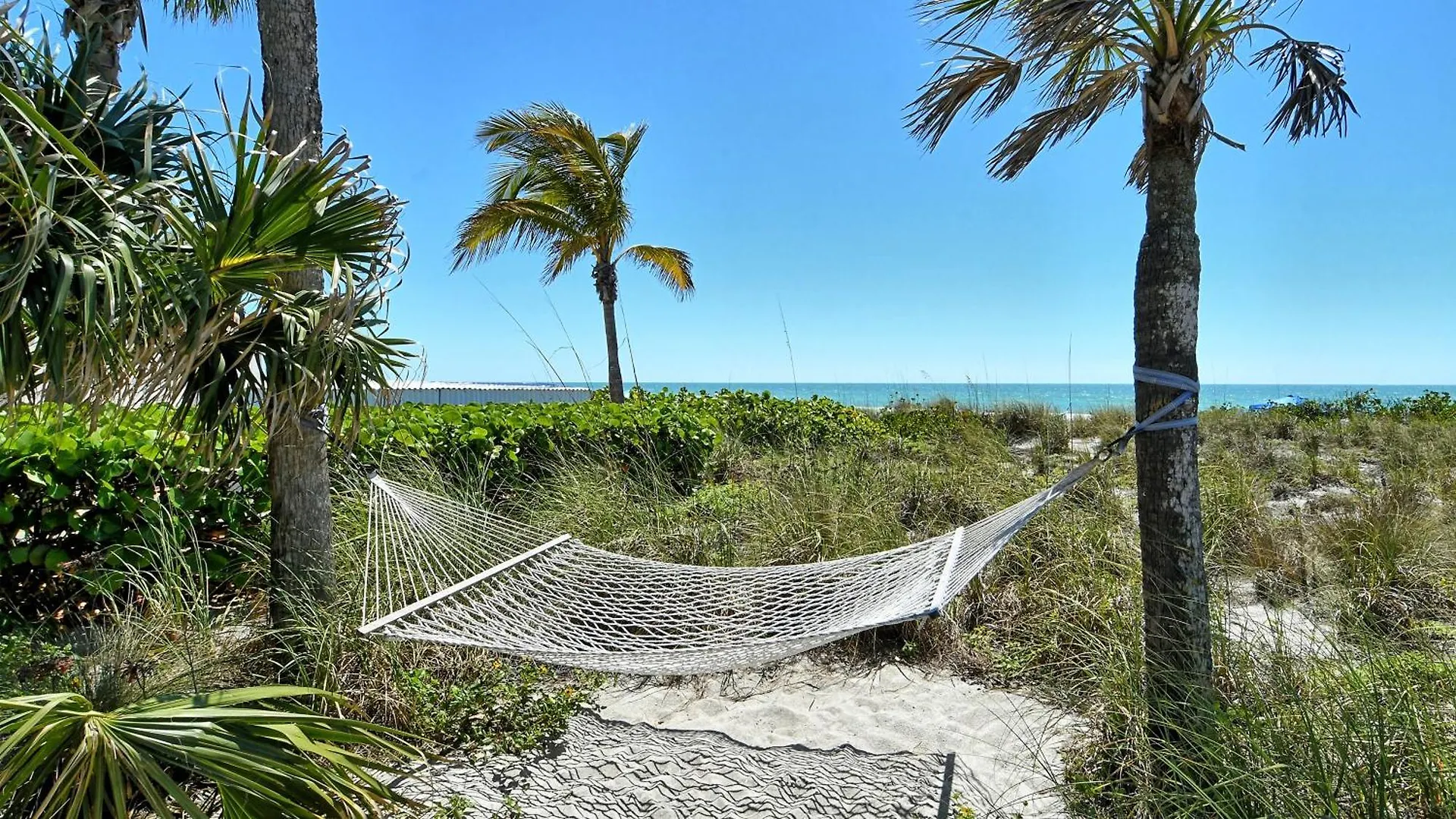 Apartment Laplaya 102e-tropical Garden View Near The Pool! Longboat Key