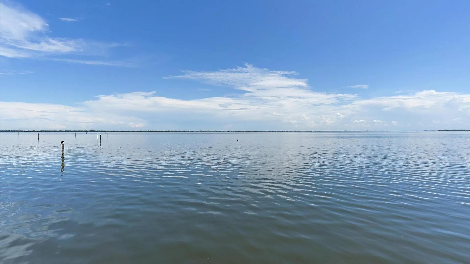 Just Beachy Longboat Key