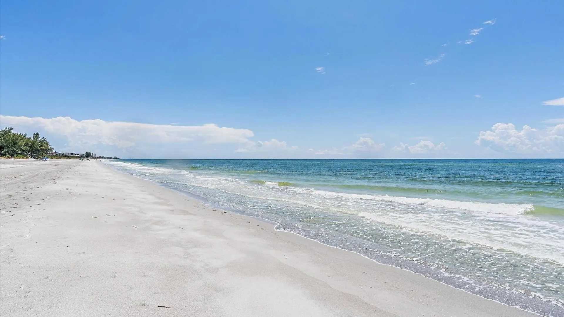 Haven * Longboat Key