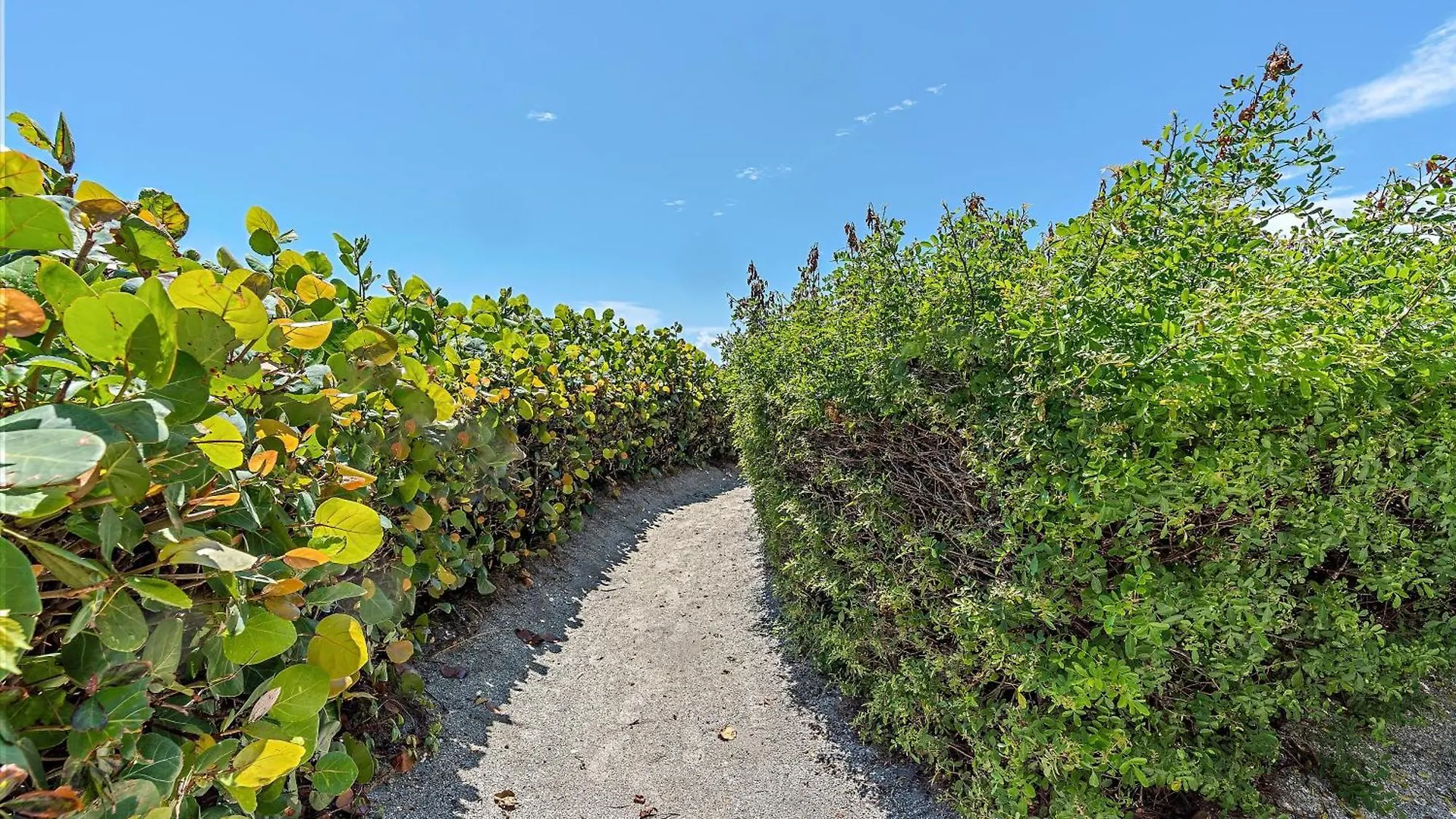 Just Beachy Longboat Key