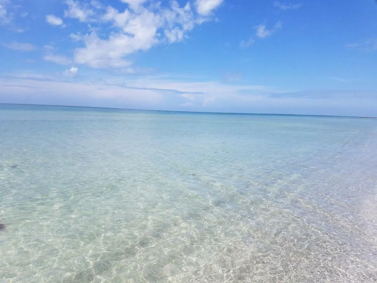 Apartment Amazing Panoramic View And The Beautiful Sunset Longboat Key