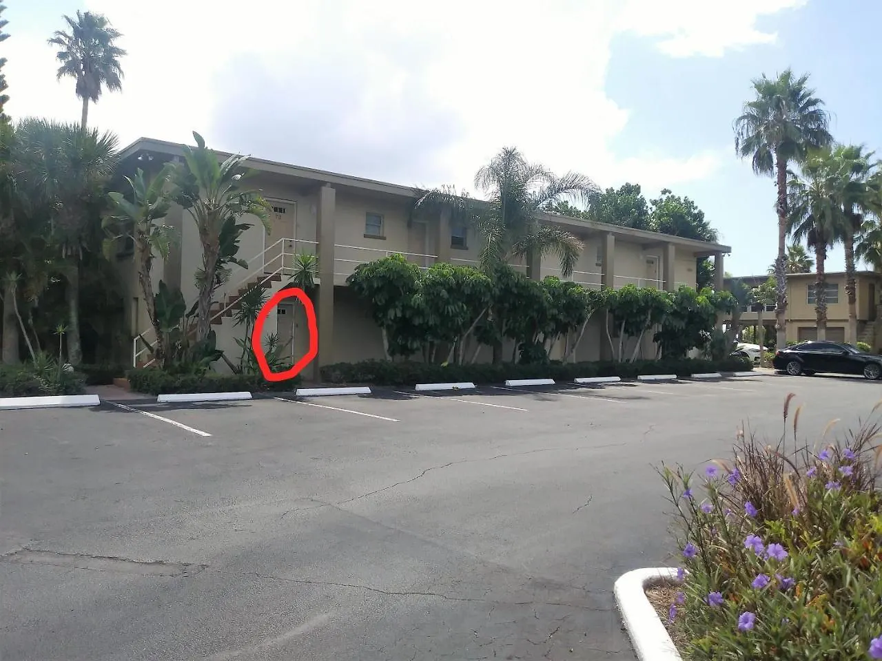 Inn Turtle Crawl - 4*