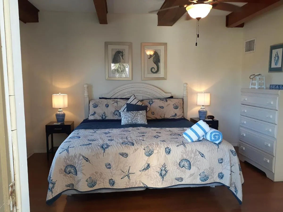 Inn Turtle Crawl -