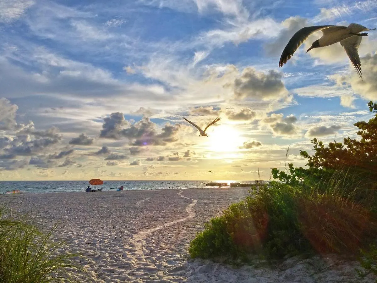 Inn Turtle Crawl -